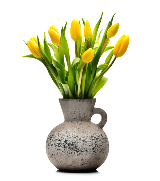 Gelbe Tulpen